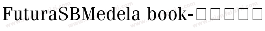 FuturaSBMedela book字体转换